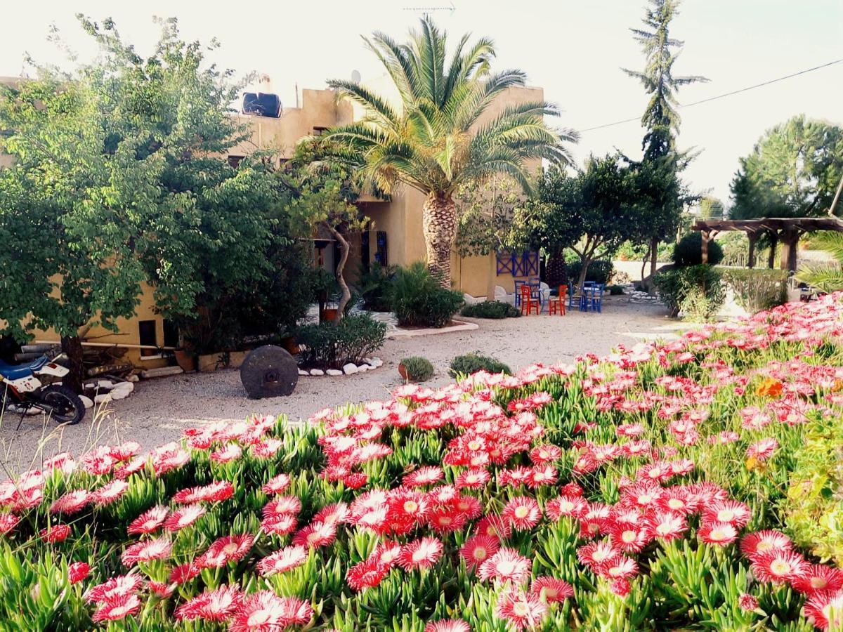 Vagia Beach Apartments, Aegina Island Pokój zdjęcie
