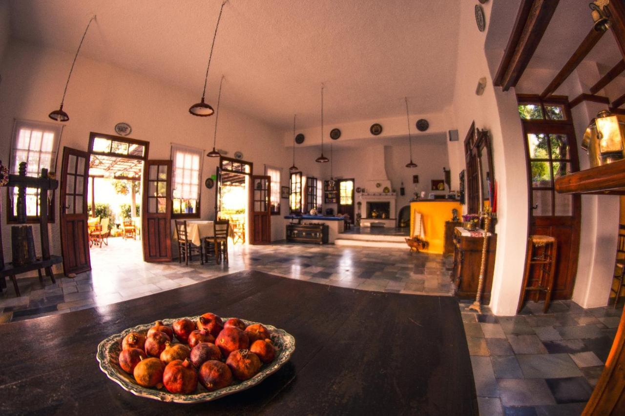 Vagia Beach Apartments, Aegina Island Pokój zdjęcie
